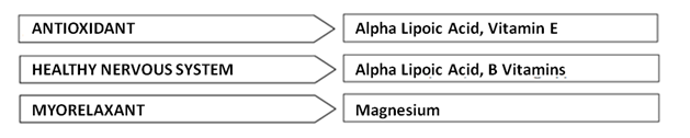 diagramma ecunerv eng